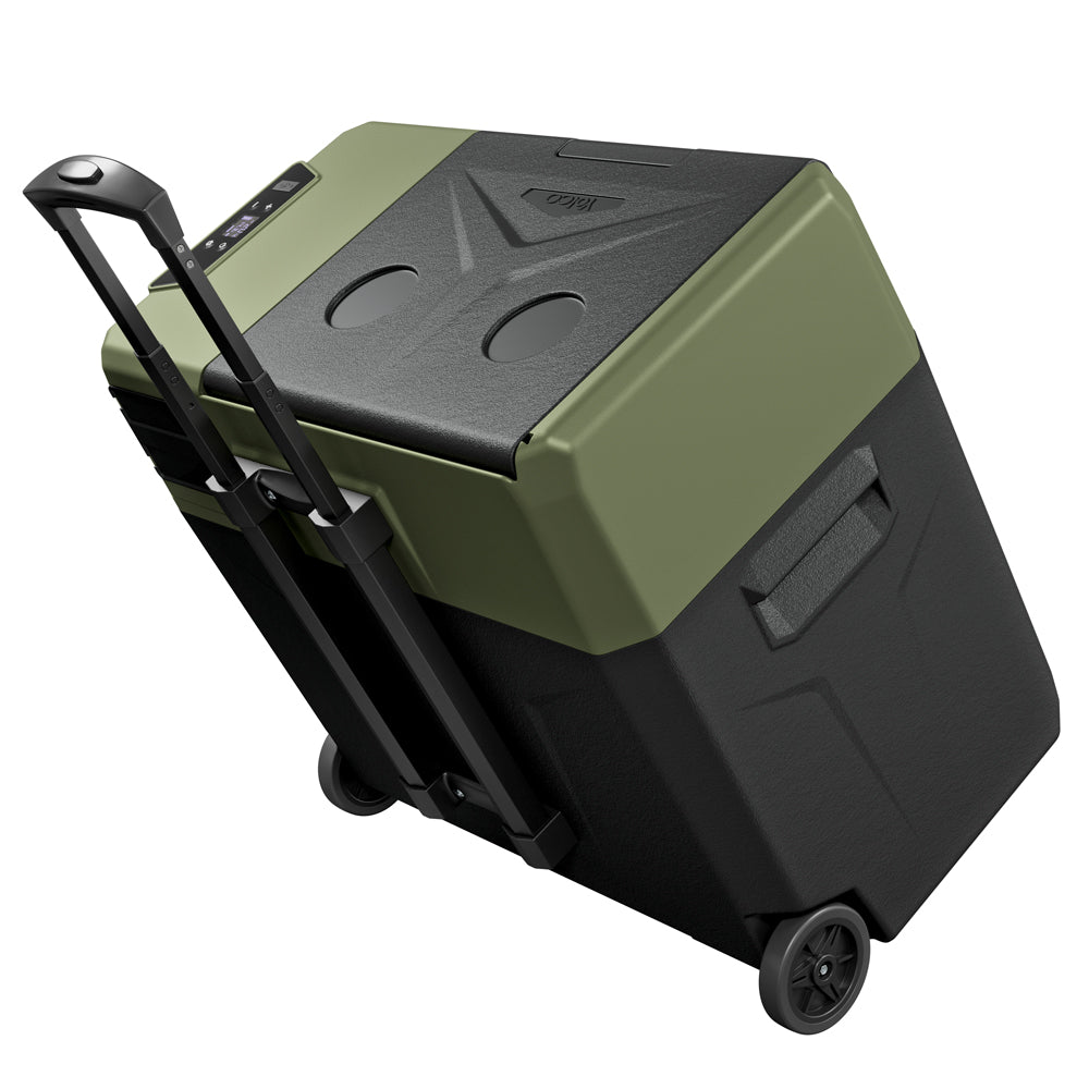 BCX50 Green Kompressorkühlbox